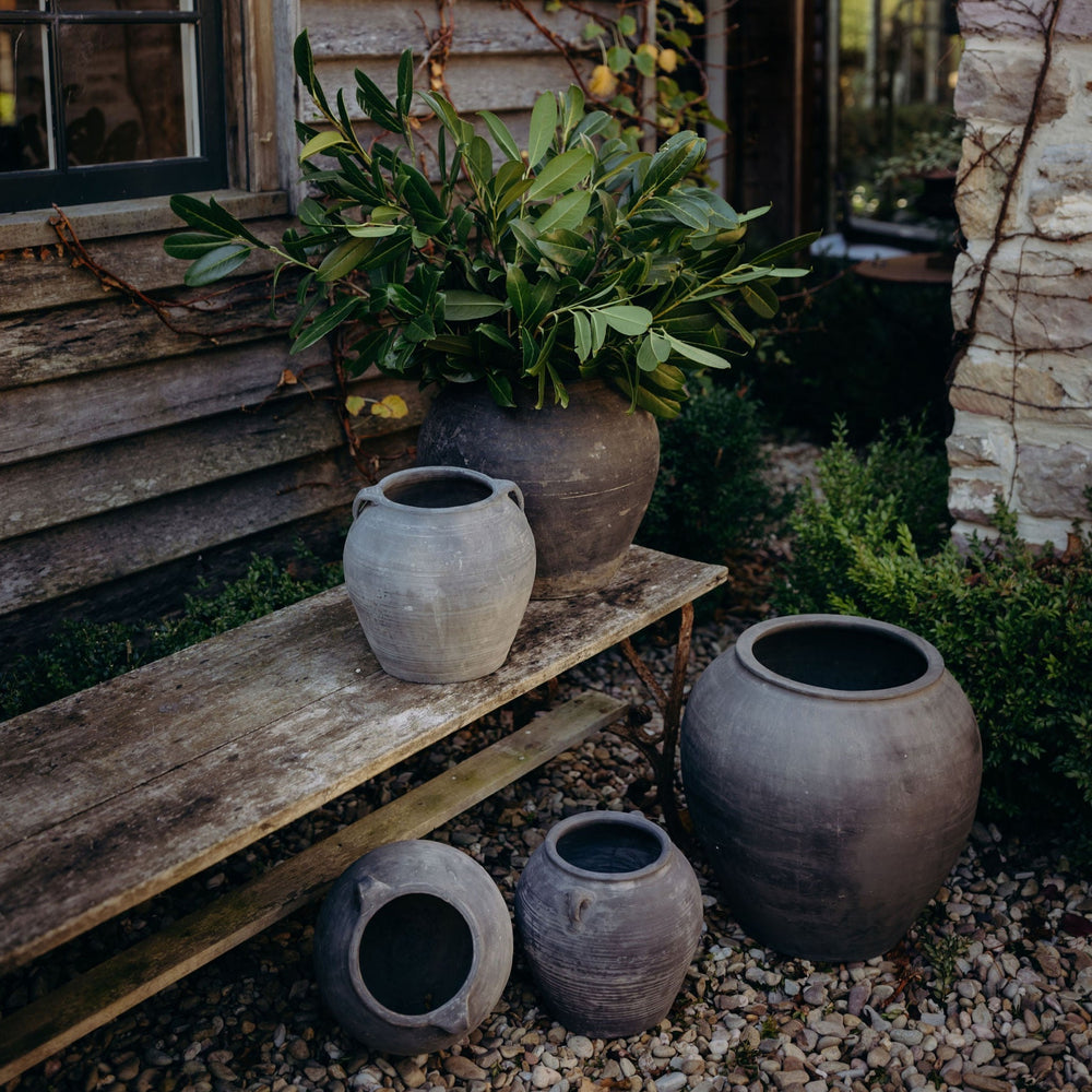 
                      
                        Small Water Pot
                      
                    