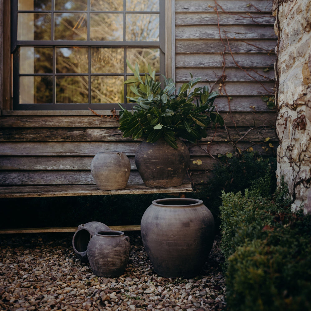 
                      
                        Medium Water Pot
                      
                    